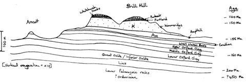 Sketch geology cross-section through Brill Hill