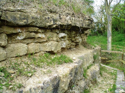 The quarry face at Coombs - White Limestone.