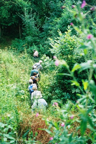 A group exploring the Buckingham Sand Pit Nature Reserve.