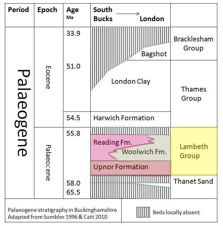 Palaeogene Strtigraphy Chart