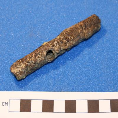 Small branch with knot hole, preserved in pyrite, London Clay.