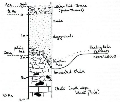 The geological section as deduced by a walk around Northmoor Hill.