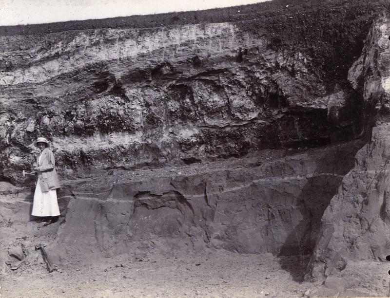 Warren farm, Stewkley, showing Portland Limestone overlying the Glauconitic beds (or Portland Sand).