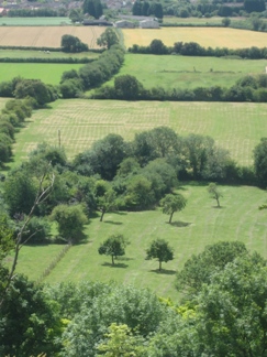 At the base of the Chiltern Scarp, fruit trees cultivated along the Upper Greensand outcrop.